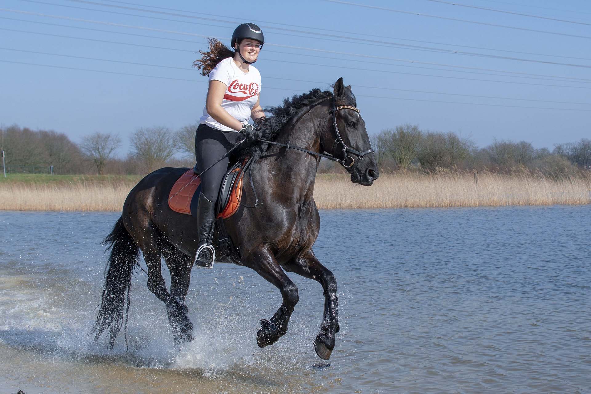 horseback-riding-4074313_1920.jpg