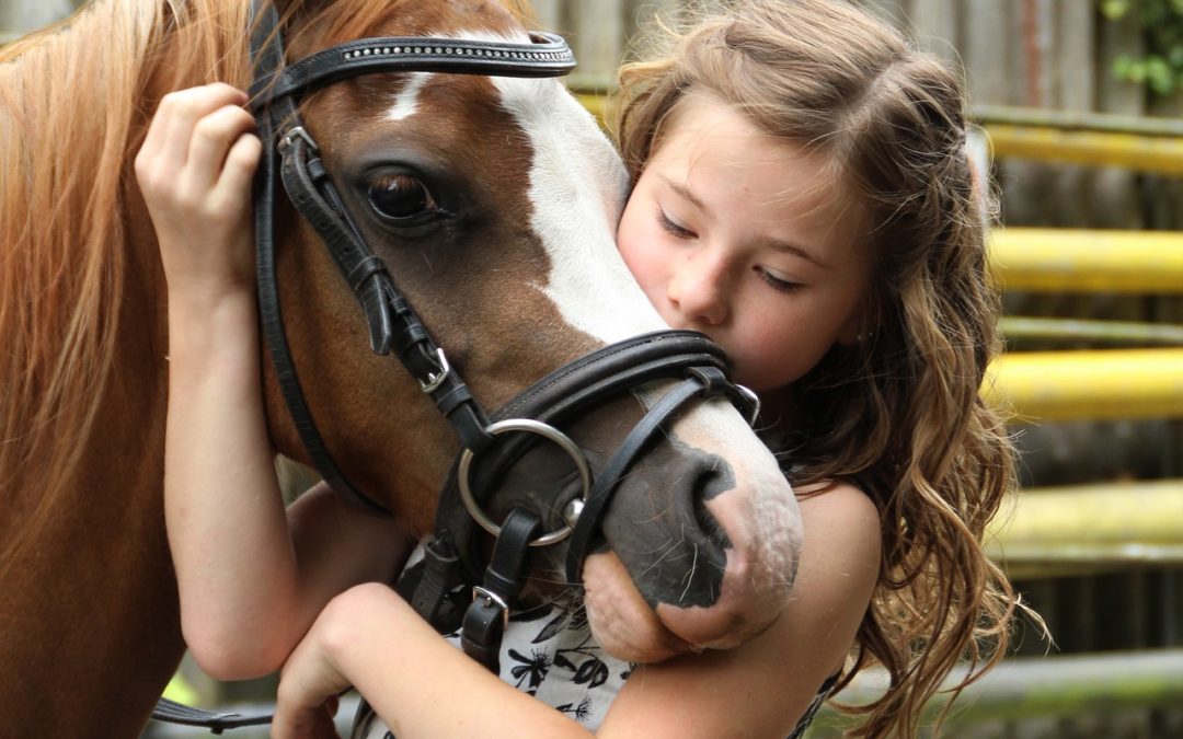 stage découverte du poney