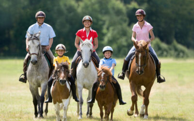 Inscriptions 2026 2027