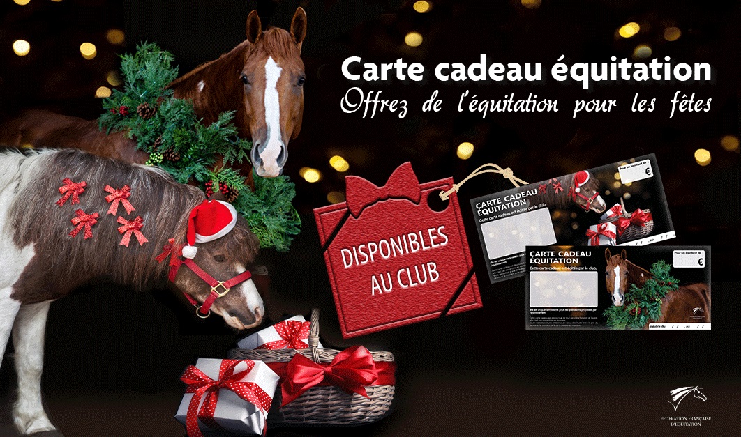 Cartes cadeaux NOËL