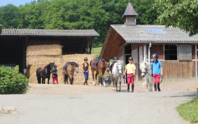 UN DIMANCHE AU PONEY CLUB